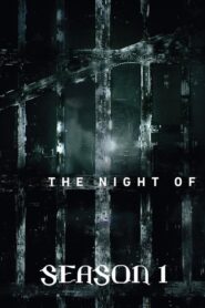 The Night Of: Temporada 1